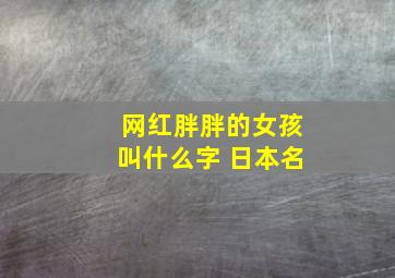 网红胖胖的女孩叫什么字 日本名